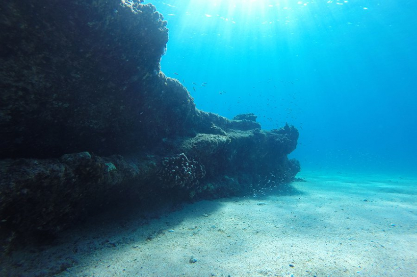 Огромная «сверхструктура» росла на морском дне Фиджи со времен динозавров