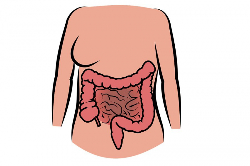 Учёные выявили влияние диеты на риск развития рака