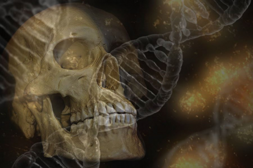 Новые открытия, сделанные на основе древней человеческой ДНК