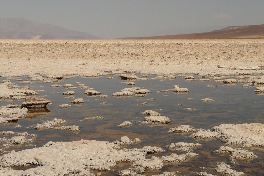 Микробы могут выжить в более соленой воде, чем считалось ранее