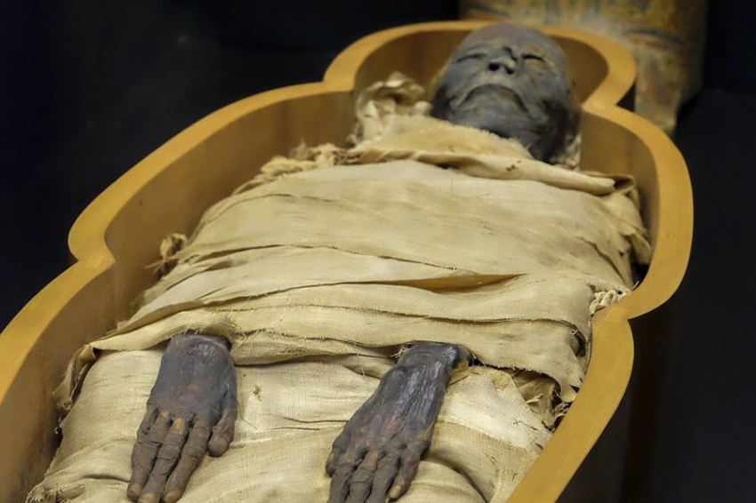 Возраст и историю использования папируса установили посредством свинца и кальция