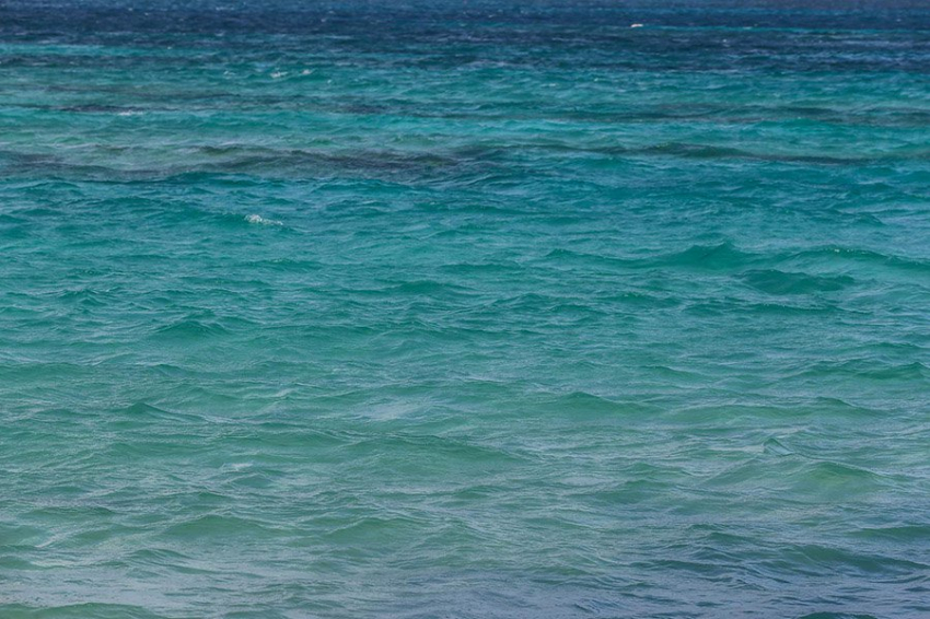 Ученые составили самый подробный каталог морских микробов