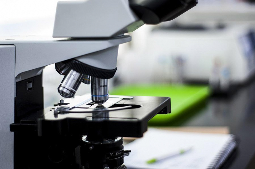 Российские ученые создали нанопочту для лекарств — адресную доставку молекул РНК 