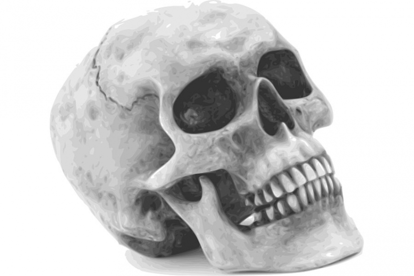 Археологи РАН: в древности жители Сибири проводили трепанации черепа