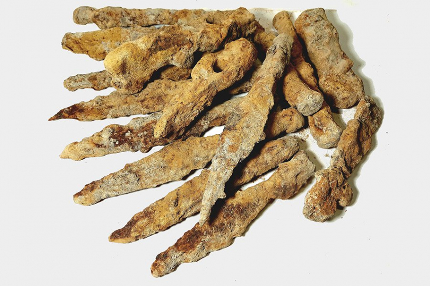 В Польше найден ржавый железный клад римской эпохи