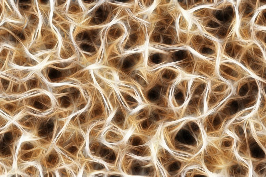 Исследование показывает, как вирус может спровоцировать рассеянный склероз