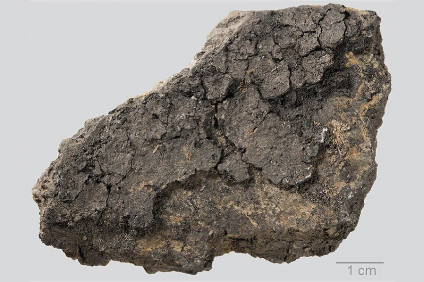 PLOS ONE: остатки сгоревшей еды свидетельствуют о приготовлении пищи 5000 лет назад