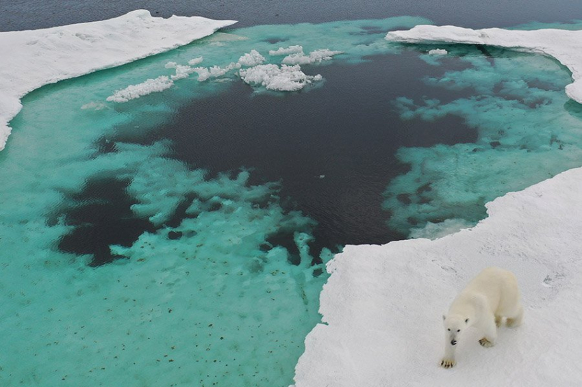 Ученые обнаружили аномально высокие внутренние волны в Арктике
