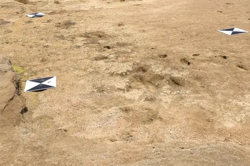 Найденный в Марокко следы человека возрастом 90 000 лет оказались одними из старейших в мире