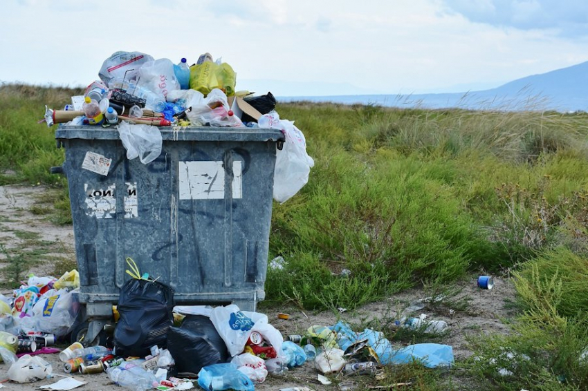 Эксперты рассказали, как микропластик вредит здоровью человека, природы и экономики