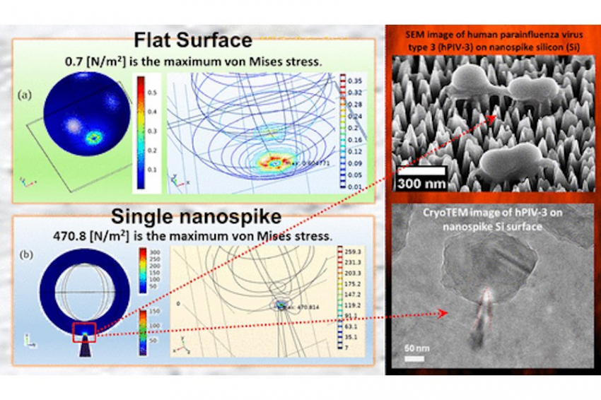 ACS: учёными RMIT создано нанопокрытие эффективно уничтожающее вирусы