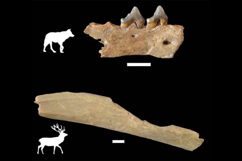 Nature: древние люди пересекли Альпы 45 000 лет назад