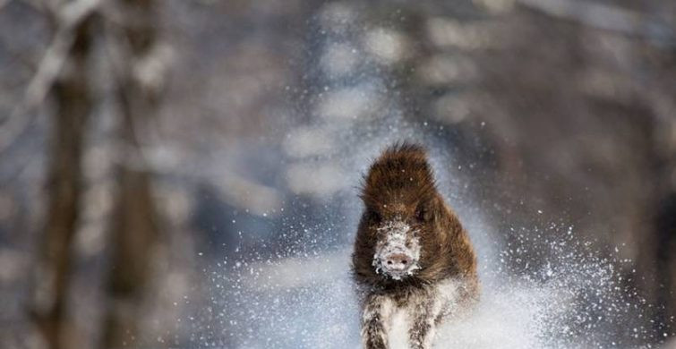 Какой сегодня праздник: 28 февраля отмечается несколько праздников, какой церковный праздник в России сегодня, 28.02.2024