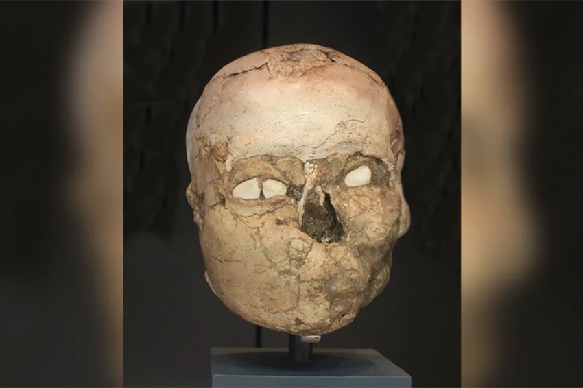 Неолитические «гипсовые черепа» неизвестного назначения найдены на Ближнем Востоке