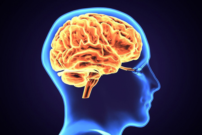 Neuroscience: худшее в других людях можно «прочитать» при сканировании мозга