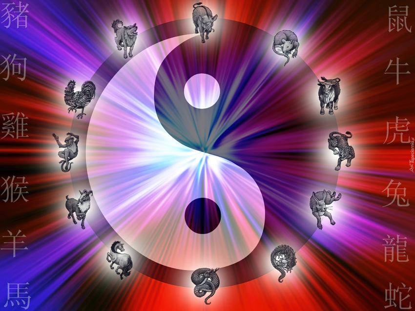 Что ждет знаки восточного гороскопа на неделе с 12 по 18 февраля 2024 года