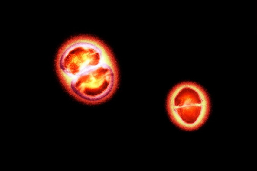 Ученые обнаружили новых сущностей в нашем организме – обелиски