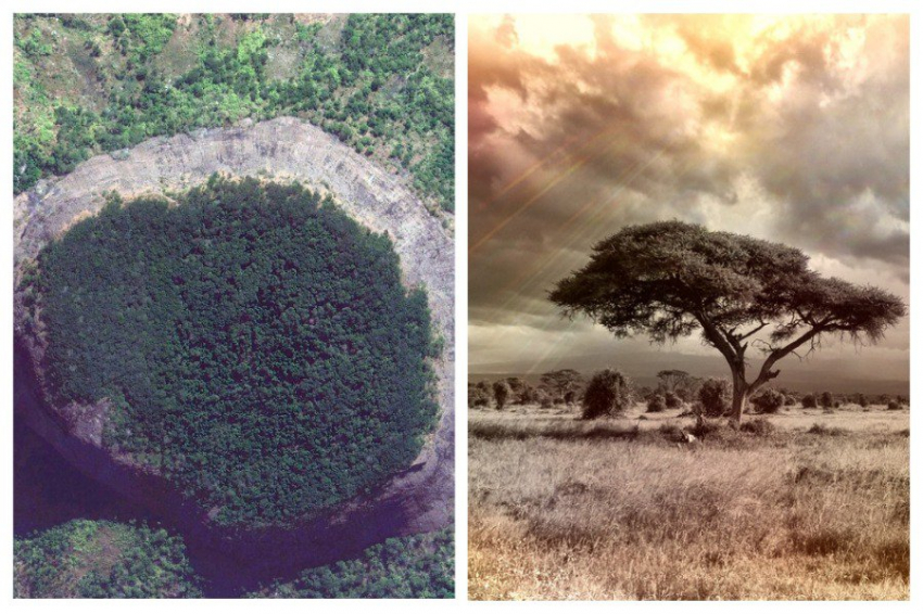 Затерянный мир: африканская гора Лико ставит в тупик исследователей