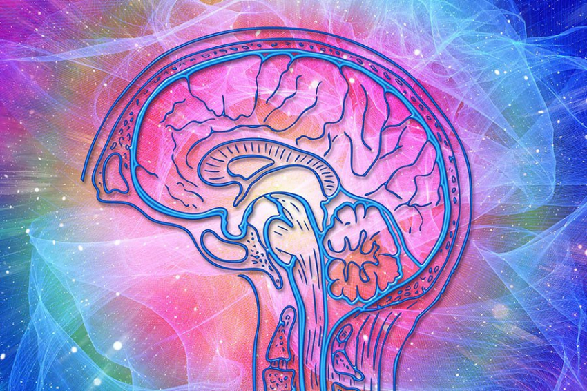 PLOS One: гормон любви окситоцин является ключом к улучшению памяти