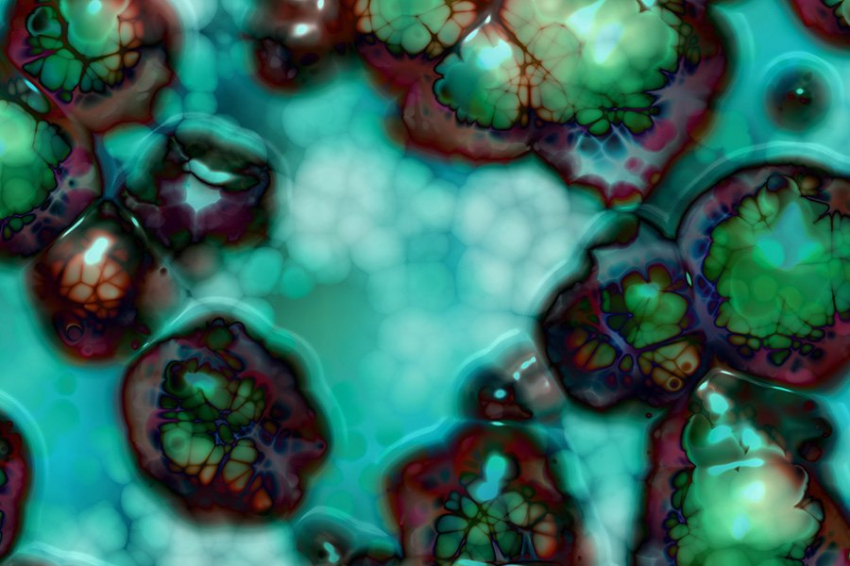 Cell: редкая молекула жира способствует гибели клеток