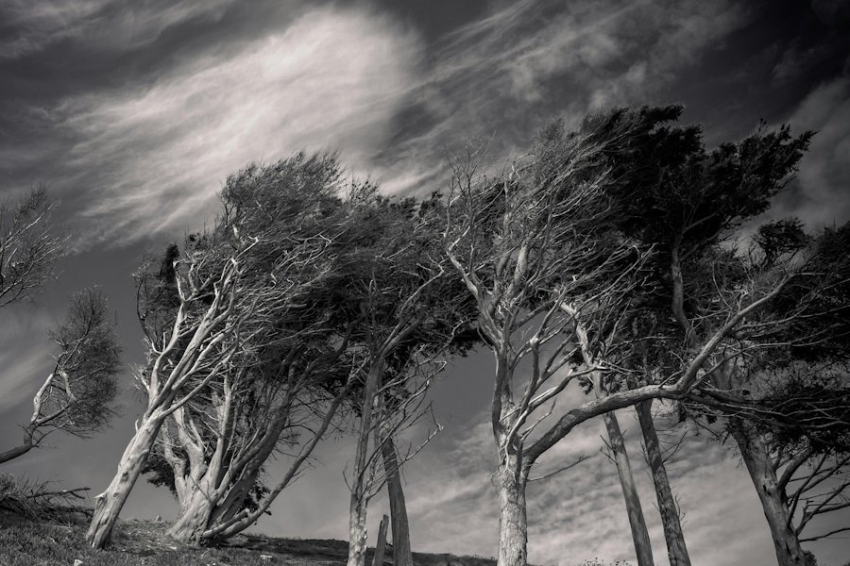 PNAS: скорость ураганов увеличивается и требует введения новой категории