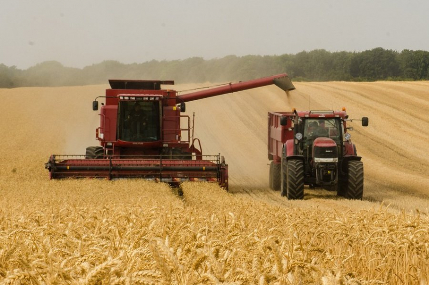Nature Food: ученые предупреждают об угрозе для продовольственной безопасности
