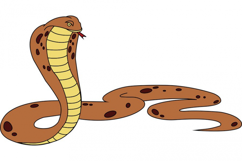 Ученые разработали противоядие для нейтрализации укусов королевской кобры и черной мамбы