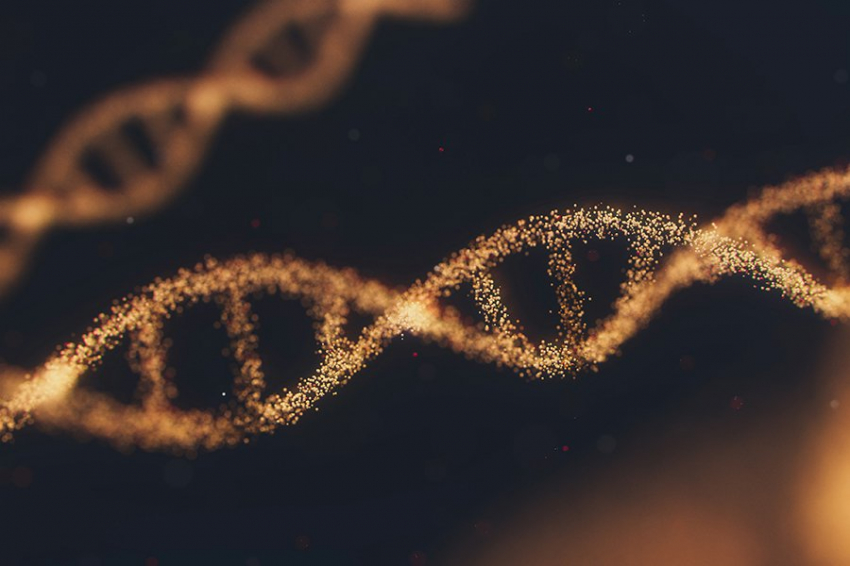 Древние восточные арабы развили устойчивость к малярии благодаря сельскому хозяйству