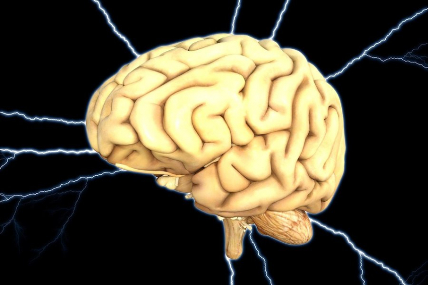 JIM: учёные предлагают применять гамма-стимуляцию мозга при болезни Альцгеймера