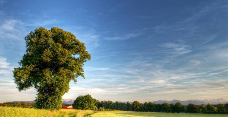 Традиционно на Евтропиев день, 16 марта 2024 года надо подготавливать поля к посеву