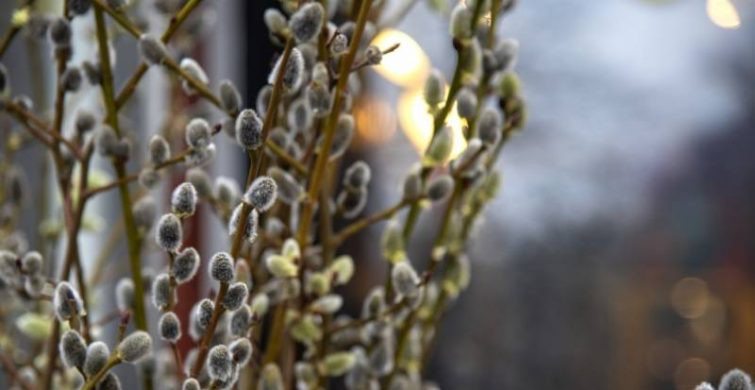 Весеннее равноденствие в марте 2024 года: традиции и приметы