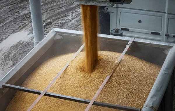 ЕС продлил отмену пошлин на украинскую сельхозпродукцию до июня 2025 года