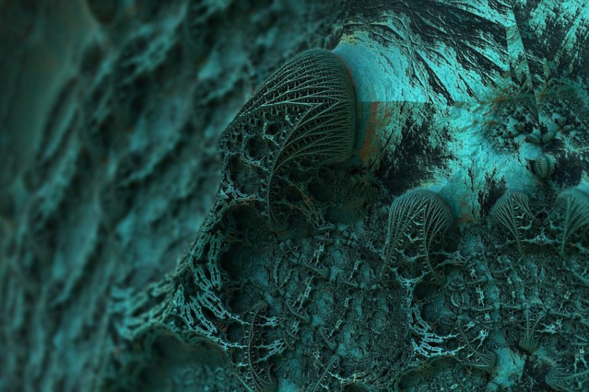 Австралийские ученые выявили грибок, грозящий вызвать пандемию