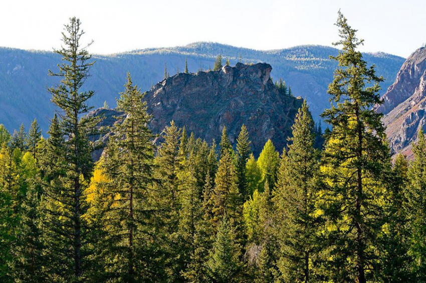 Горные хребты с низким рельефом являются крупнейшими поглотителями углерода