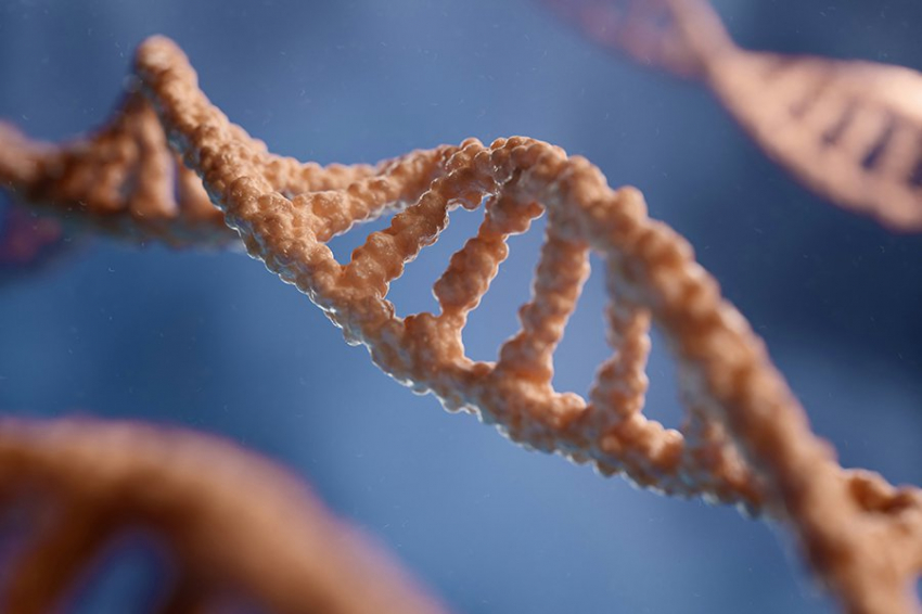 Гигантское исследование ДНК показало, откуда родом индийцы