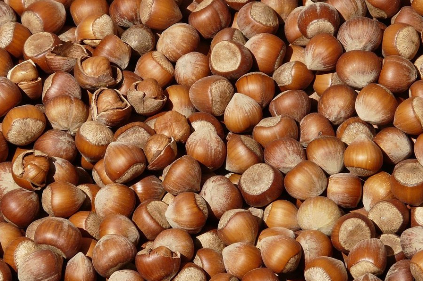 EJCN: потребление растительного белка связано с улучшением качества сна