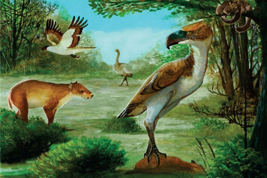 Ужасные птицы высотой 2 метра могли быть главными хищниками Антарктиды 50 млн лет назад