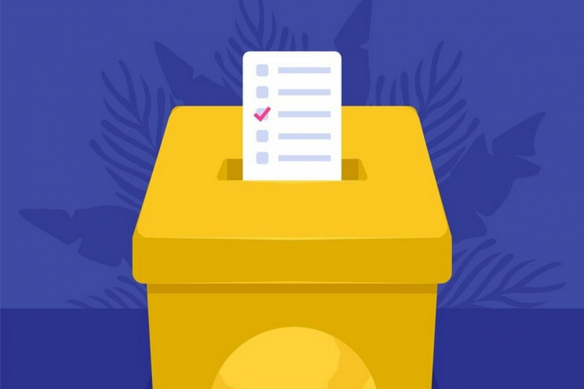 Когда объявят итоги выборов? В Сети появились протоколы из Хабаровского края – у Даванкова 20%, у Путина – 60%