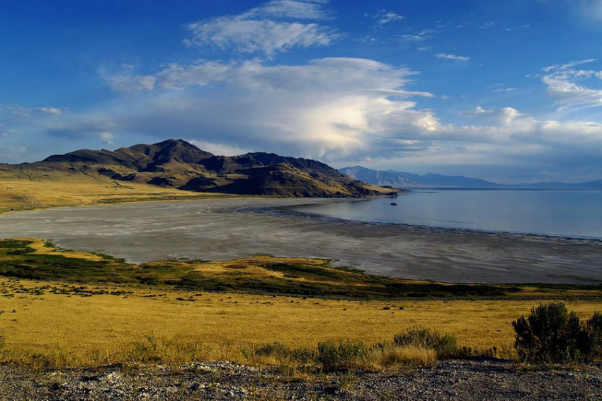 Ученые выяснили, что в Большом Соленом озере живых организмов больше, чем считалось