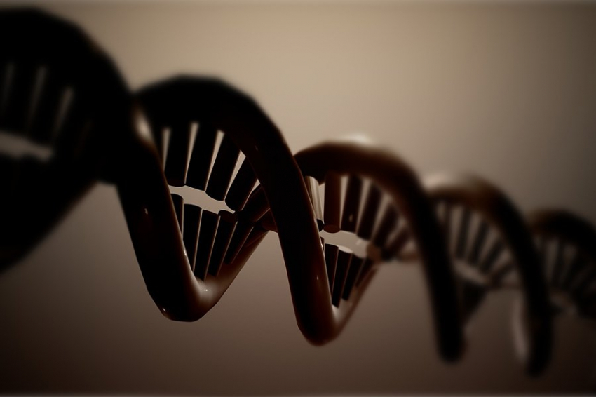 Варианты генов могут защитить от заболеваний мозга, связанных с каннибализмом