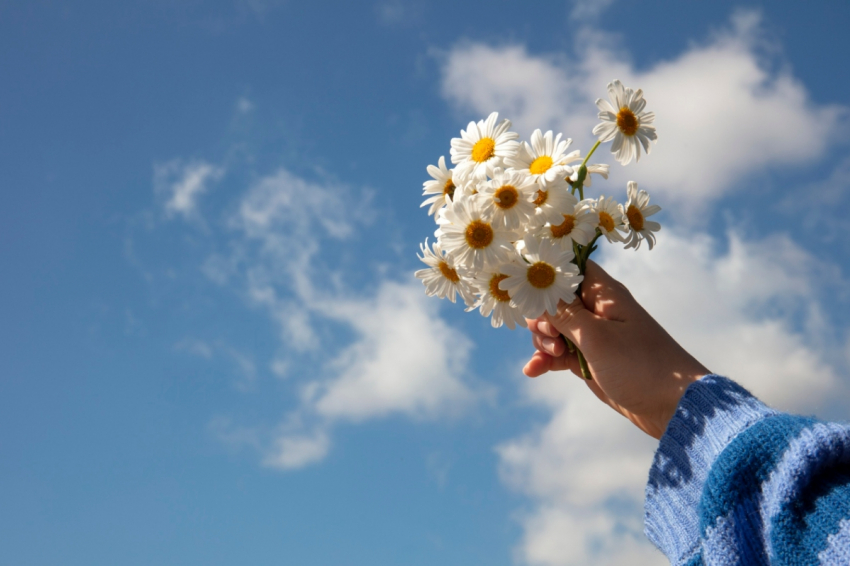 Почему день равен ночь в День весеннего равноденствия 20 марта 2024: ритуалы двойной силы — как призвать деньги, обрести красоту и прогнать проблемы