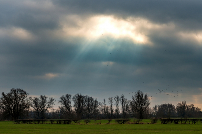 Волна тепла в Центральной России и заморозки в Сибири: каким будет апрель 2024 года — тепло до +20 и морозы до -4 градусов