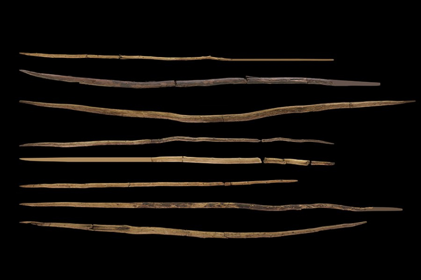 Редкие деревянные артефакты демонстрируют ум ранних неандертальцев