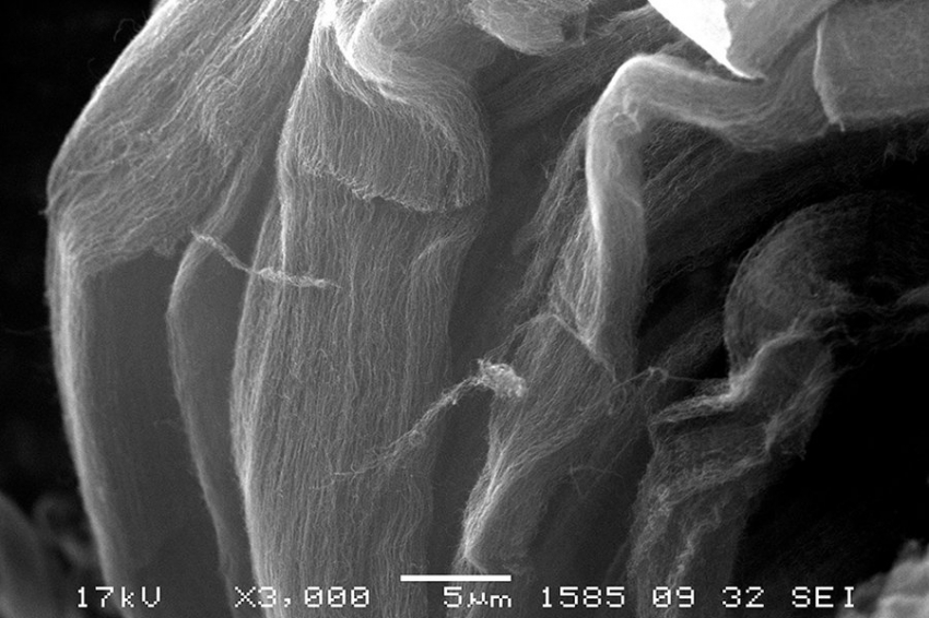 Российские ученые улучшают свойства бетонов с помощью импортозамещающих нанотрубок