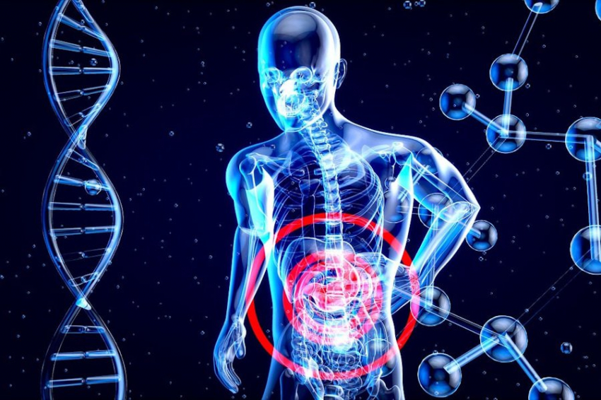 НМG: метилирование РНК как путь к новым методам лечения рака, СМА и аутизма