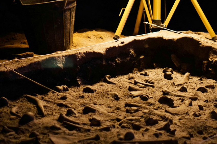 Неандертальцы и Homo sapiens обустраивали жилое пространство схожим образом