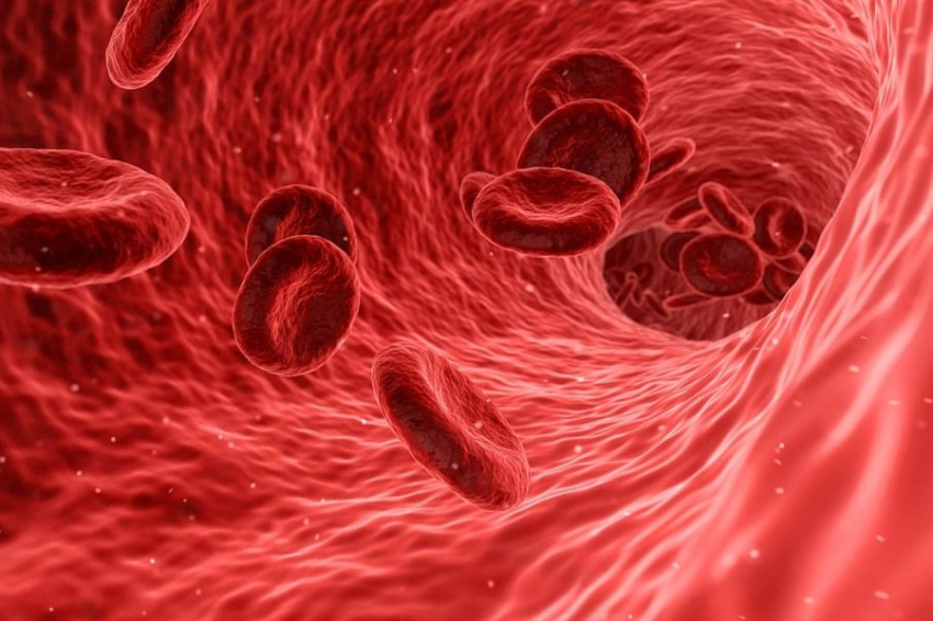 ISSCR: сепсис негативно влияет на стволовые клетки иммунной системы