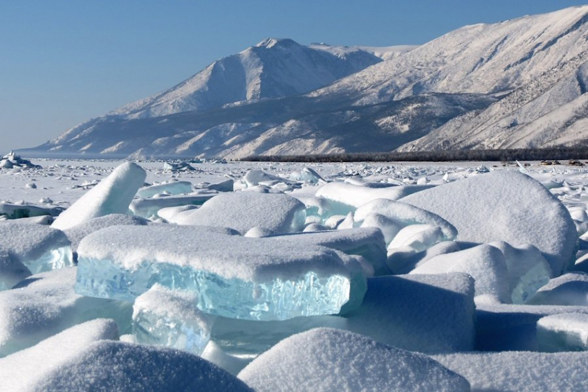 Генетические исследования раскрывают связи между бурятами и корейцами