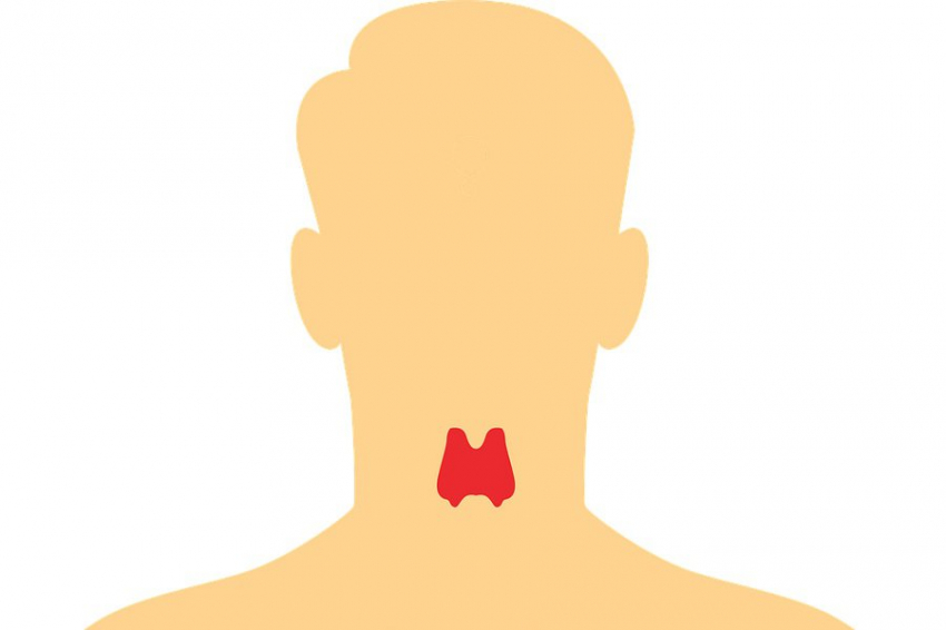 Новая технология спасает голос после операций на щитовидной железе