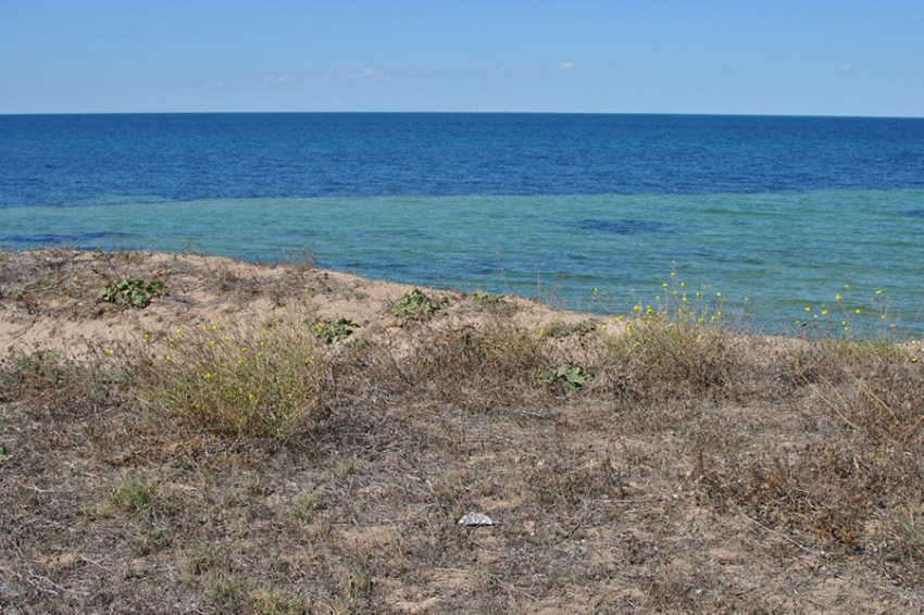 Древние жители Крыма уходили в степи и высокогорья для выпаса скота 